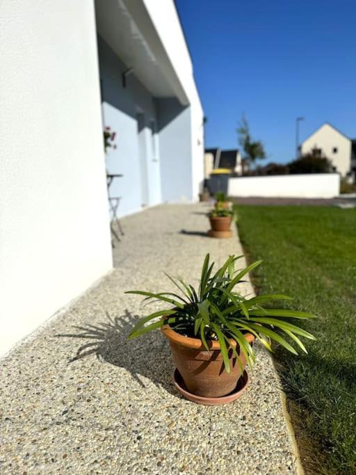 La Maison Bleue - Plain-Pied Proche Plages Et Caen Rosel Exterior foto